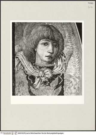 Vorderseite von bh524329_recto