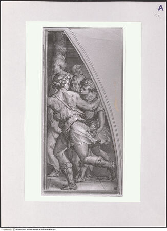 Vorderseite von bh524504_recto