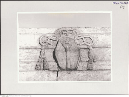 Vorderseite von bh524566_recto