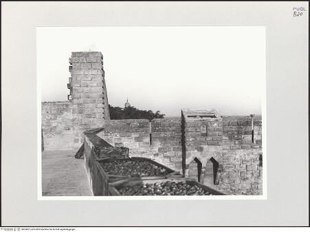 Vorderseite von bh524837_recto