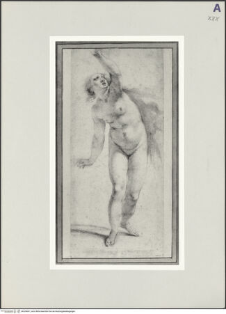 Vorderseite von bh524897_recto