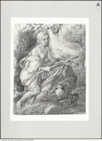 Vorderseite von bh524904_recto