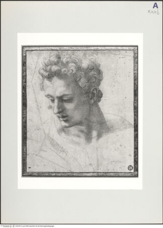 Vorderseite von Réunion des Musées Nationaux [https://www.deutsche-digitale-bibliothek.de/content/lizenzen/rv-ez/] Männlicher Kopf - , bh524919_recto. Foto: Bellot, Michèle.