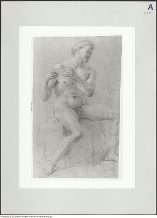 Vorderseite von bh524975_recto