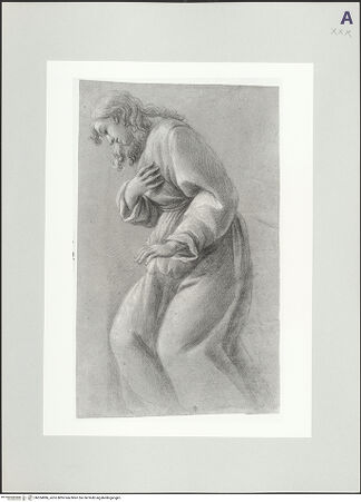 Vorderseite von bh524986_recto