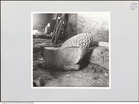 Vorderseite von Bibliotheca Hertziana [https://www.deutsche-digitale-bibliothek.de/content/lizenzen/rv-fz/] Fragment eines Löwen (Konsole oder Tragfigur) - Ansicht von links, bh525138_recto. Foto: Schwarz, Heinrich Mathias.