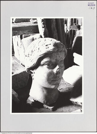 Vorderseite von Bibliotheca Hertziana [https://www.deutsche-digitale-bibliothek.de/content/lizenzen/rv-fz/] Kopf der Capua Fidelis - Seitenansicht von links, bh525139_recto. Foto: Schwarz, Heinrich Mathias.