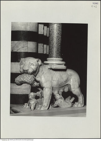 Vorderseite von bh525476_recto