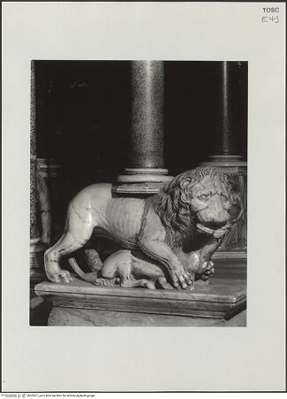 Vorderseite von bh525477_recto