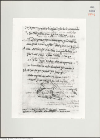 Vorderseite von bh525504_recto