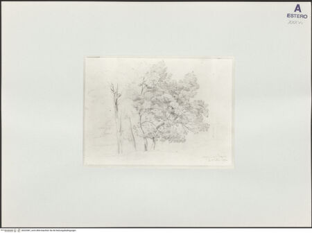 Vorderseite von bh525581_recto