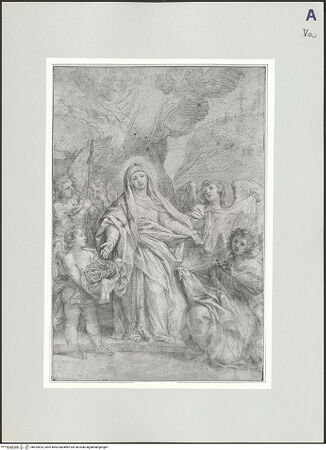 Vorderseite von bh525624_recto