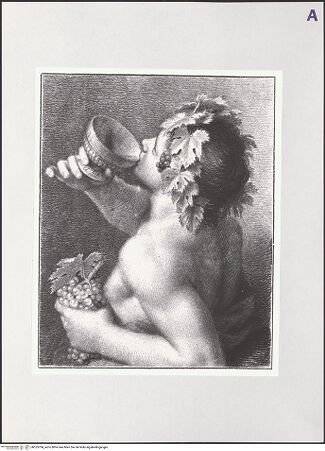 Vorderseite von bh525704_recto