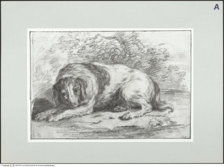 Vorderseite von bh525707_recto