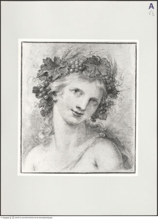 Vorderseite von bh525722_recto