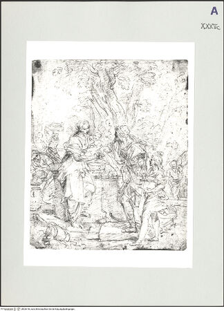 Vorderseite von bh526146_recto