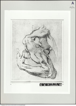 Vorderseite von bh526462_recto