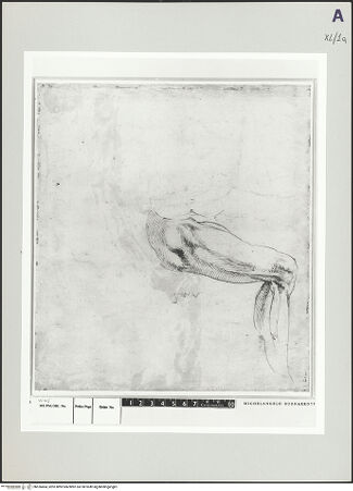 Vorderseite von bh526464_recto