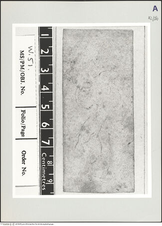 Vorderseite von bh526485_recto