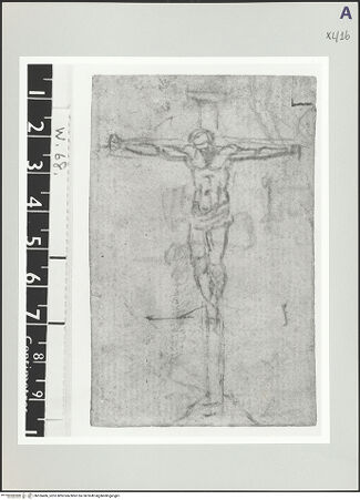 Vorderseite von bh526486_recto