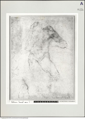 Vorderseite von bh526491_recto