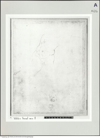 Vorderseite von bh526492_recto