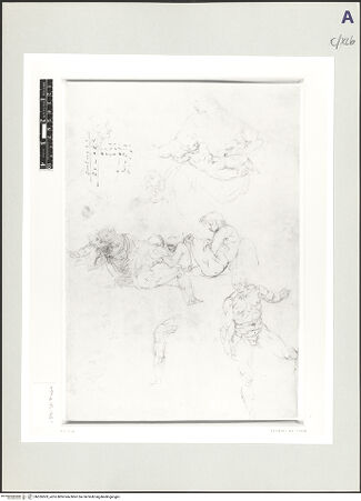 Vorderseite von bh526503_recto