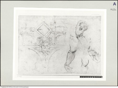 Vorderseite von bh526505_recto