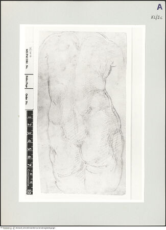 Vorderseite von bh526509_recto