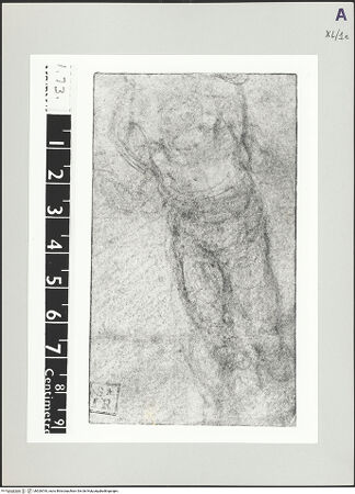 Vorderseite von bh526518_recto