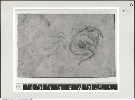 Vorderseite von bh526519_recto