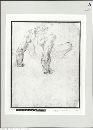 Vorderseite von bh526520_recto