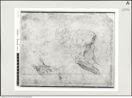 Vorderseite von bh526521_recto