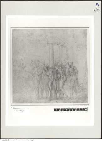 Vorderseite von bh526525_recto