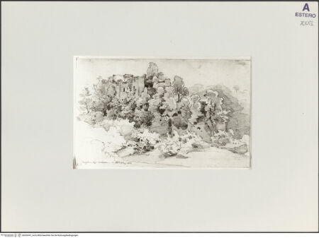 Vorderseite von bh526541_recto