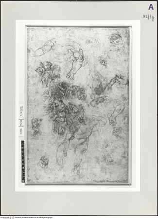 Vorderseite von bh526555_recto