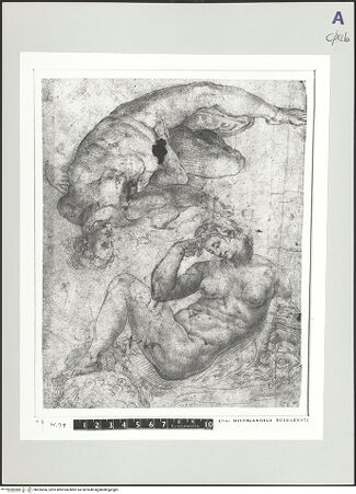 Vorderseite von bh526566_recto