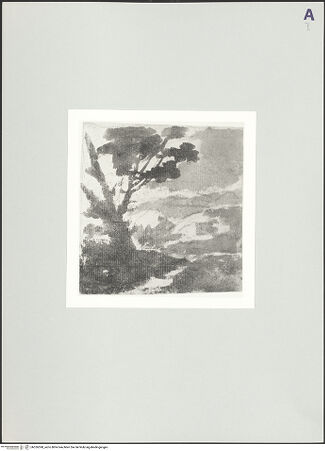 Vorderseite von bh526598_recto