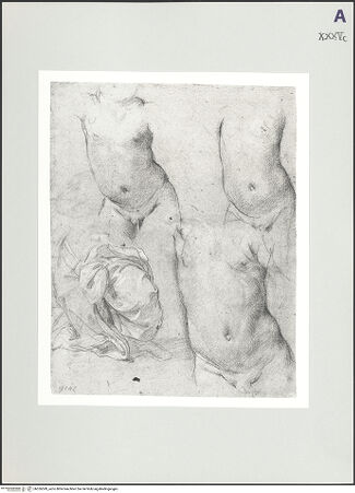 Vorderseite von bh526599_recto