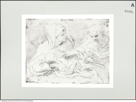 Vorderseite von bh526600_recto