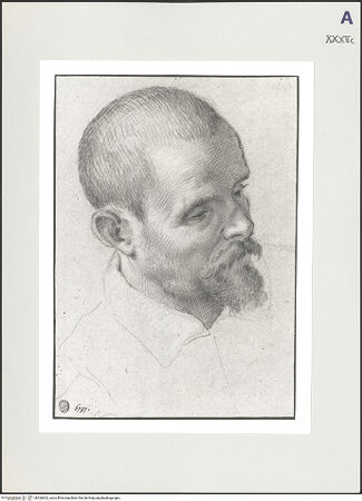 Vorderseite von bh526602_recto