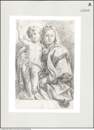 Vorderseite von bh526603_recto