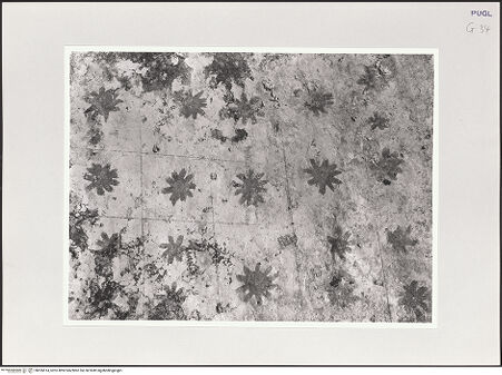 Vorderseite von bh526614_recto