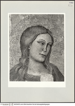 Vorderseite von bh526655_recto