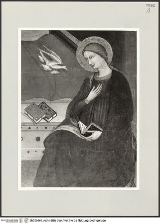 Vorderseite von bh526661_recto