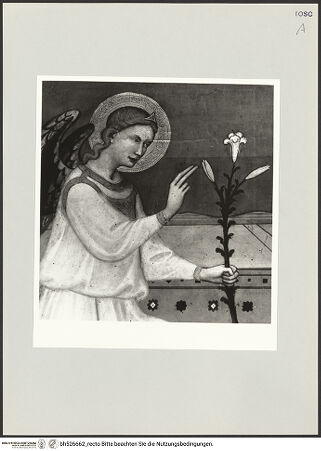 Vorderseite von bh526662_recto