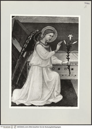 Vorderseite von bh526663_recto