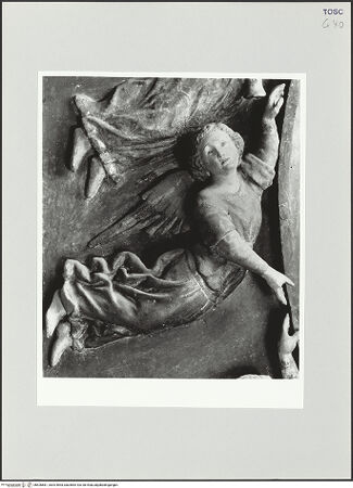 Vorderseite von bh526681_recto