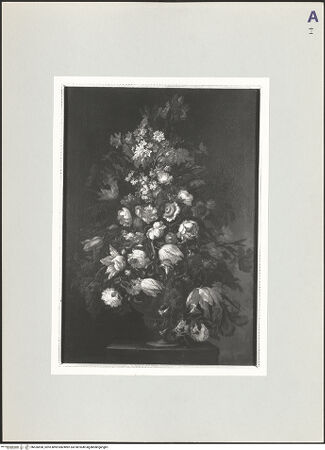 Vorderseite von bh526698_recto