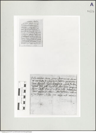 Vorderseite von bh527011_recto